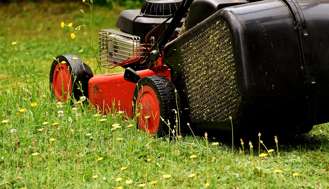 Lawn Mowing Serive in Melbourne